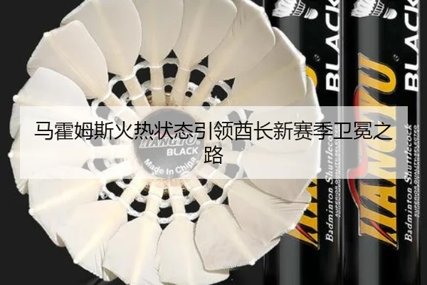 马霍姆斯火热状态引领酋长新赛季卫冕之路
