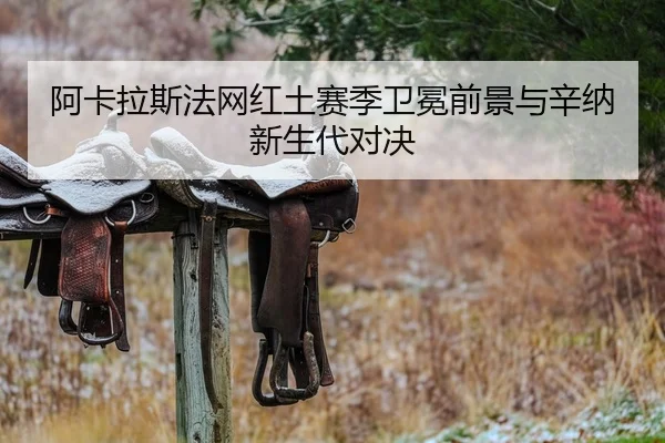 a-ka-la-si-fa-wang-hong-tu-sai-ji-wei-mian-qian-jing-yu-xin-na-xin-sheng-dai-dui-jue-2-330.jpg
