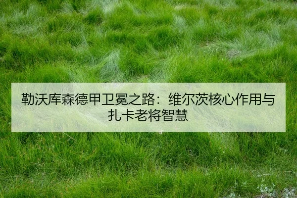 lei-wo-ku-sen-de-jia-wei-mian-zhi-lu-wei-er-ci-he-xin-zuo-yong-yu-zha-ka-lao-jiang-zhi-hui-3-265.jpg