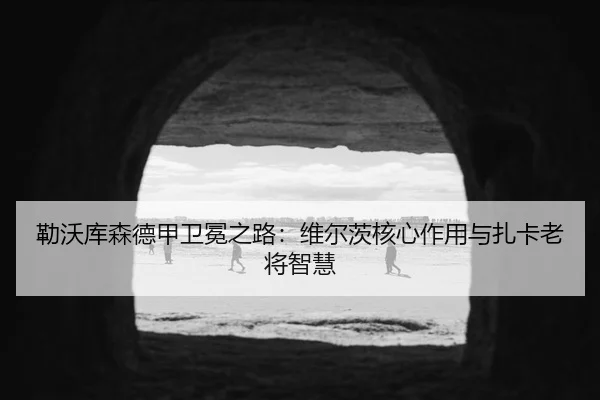 勒沃库森德甲卫冕之路：维尔茨核心作用与扎卡老将智慧